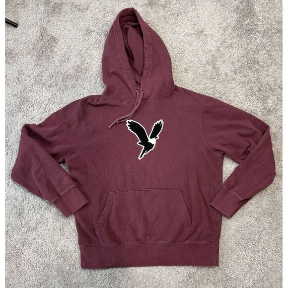 AMERICAN EAGLE Hoodie Men's Sz M Pullover Hooded Sweatshirt Logo Top Long Sleeve - Picture 1 of 13
